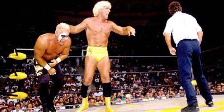 Flair v Sting