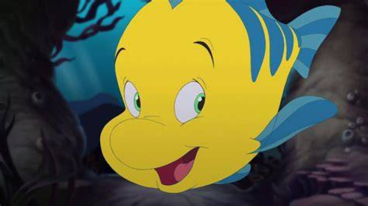 Flounder The Little Mermaid