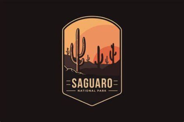 Font, Saguaro, Logo, Graphics, Plant, Graphic design, Font, Saguaro, Logo, Graphics, Plant, Graphic design,