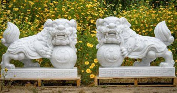 Foo Dog