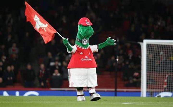 Football: Stars speak out after beloved Arsenal mascot gets axed; GoFundMe set up