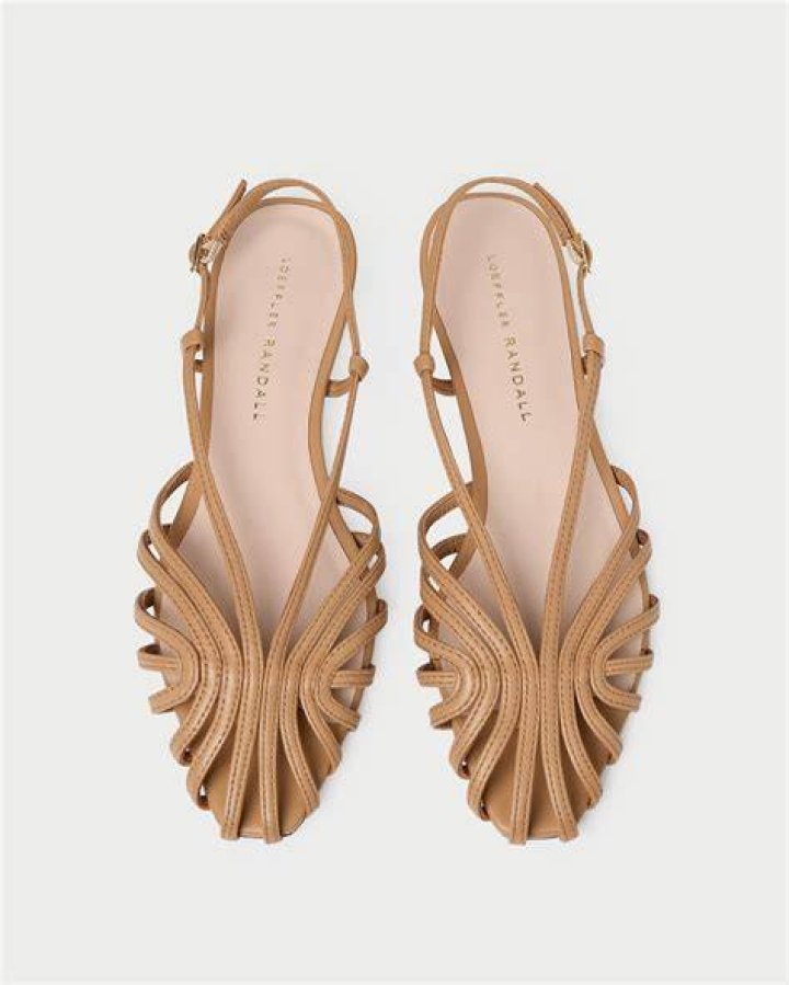 Footwear, Slingback, Sandal, Shoe, Leather, Slipper, High heels, Footwear, Slingback, Sandal, Shoe, Leather, Slipper, High heels,