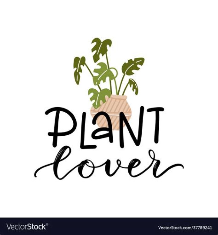 For The Plant Lover Plant Propagation Station