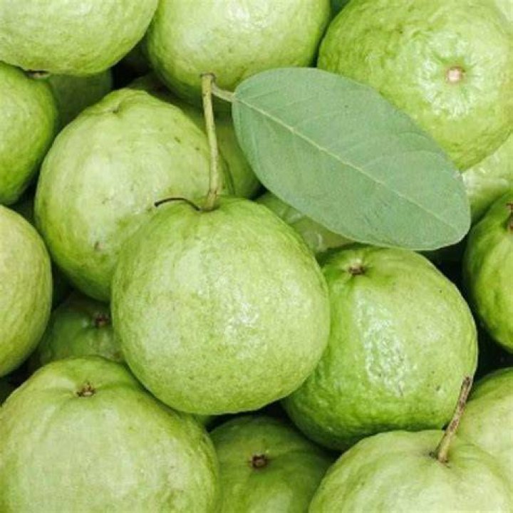 fresh organic guava fruits