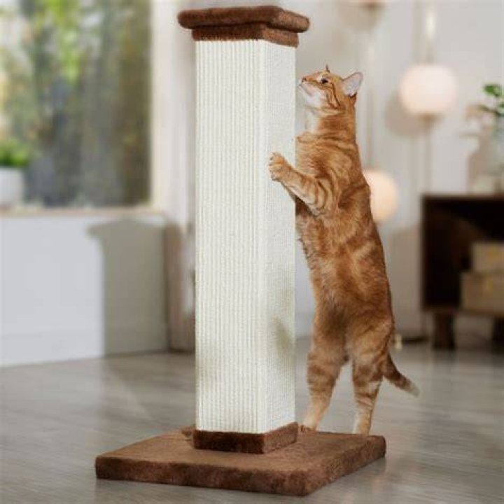 Frisco 33.5-in Sisal Cat Scratching Post