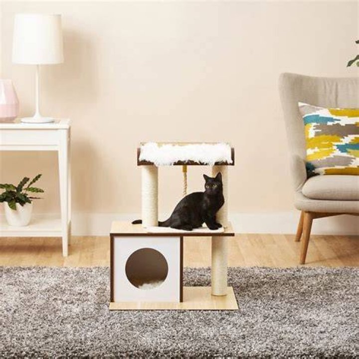 Frisco 41-in Modern Cat Tree & Condo