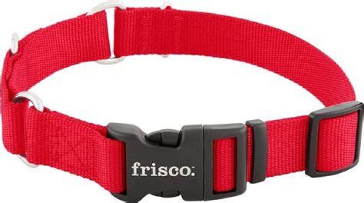 Frisco Solid Nylon Dog Collar