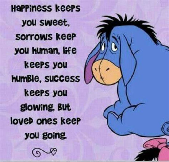 Funny Eeyore Quotes From Christopher Robin ShortQuotes.cc