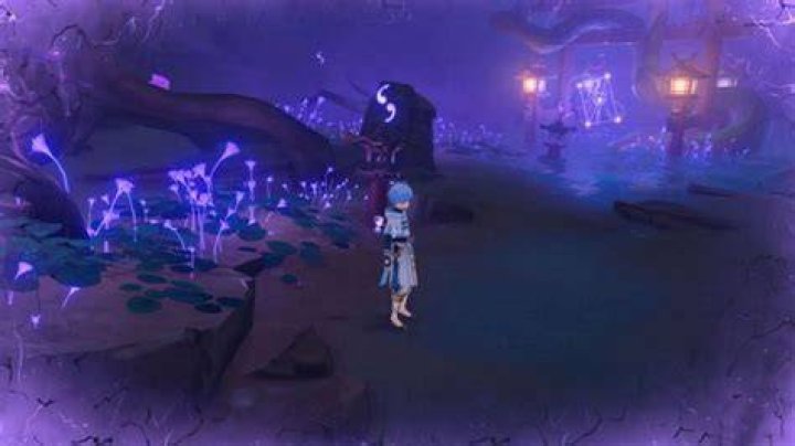 Genshin Impact Araumi puzzle: Empty Boat of a Thousand Gates unlock