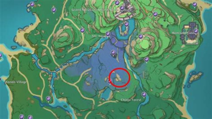 Genshin Impact Memento Lens, Abandoned Shrine, Mysterious Shadows