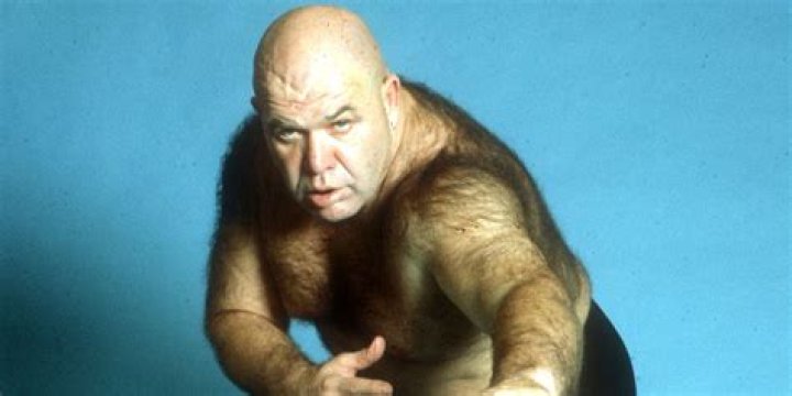 George The Animal Steele WWE Rookie