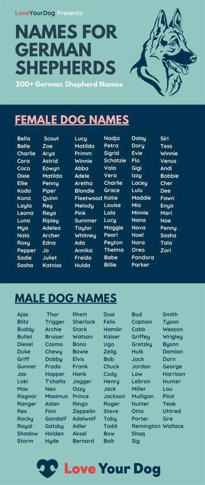 German Dog Names