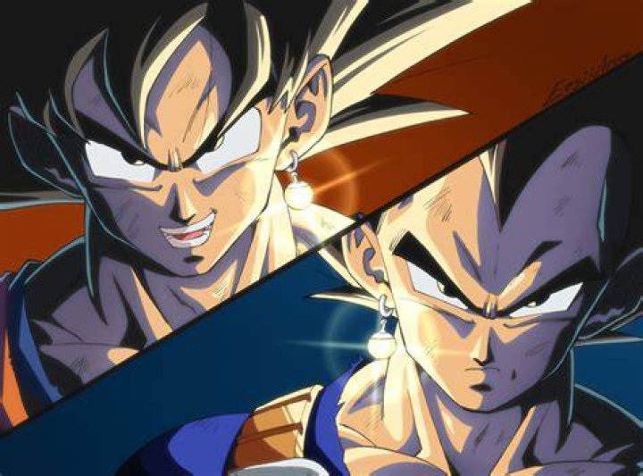 Goku and Vegeta on the cover of DBZ Budokai 3.