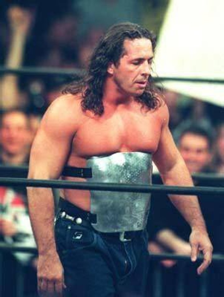 Goldberg Bret Hart Steel Plate