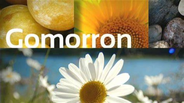 Gomorron