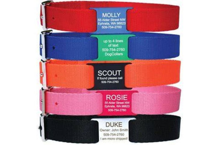 GoTags Nylon Personalized Dog Collar