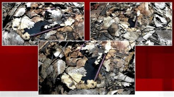 Graphic new photos of crime scene where Pistorius shot girlfriend Fox