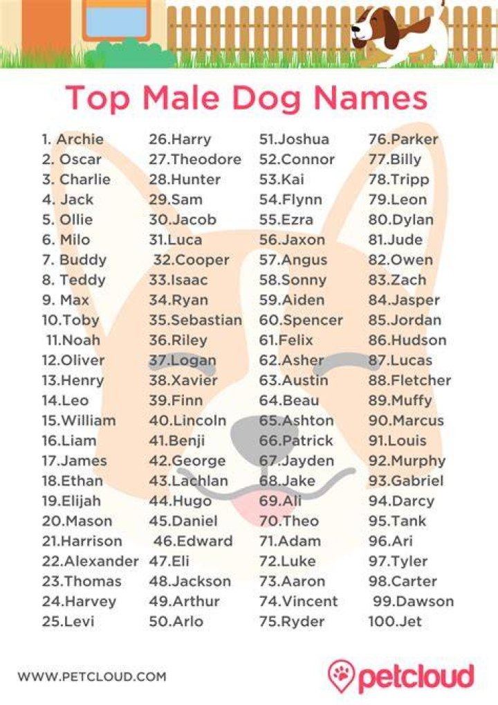 Great Dog Names