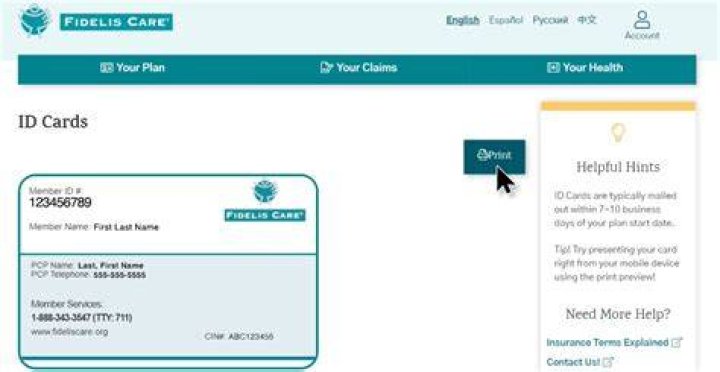 Group Number on Insurance Card Fidelis - Everything You Need to Know