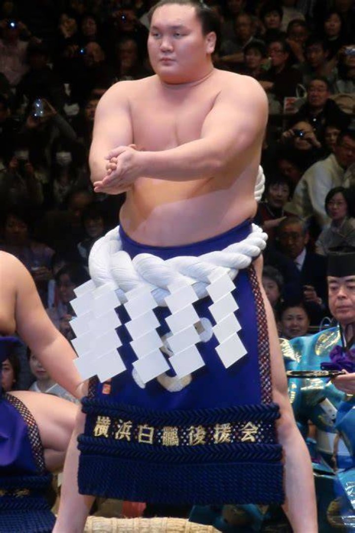 Hakuho Sho Net worth and salary