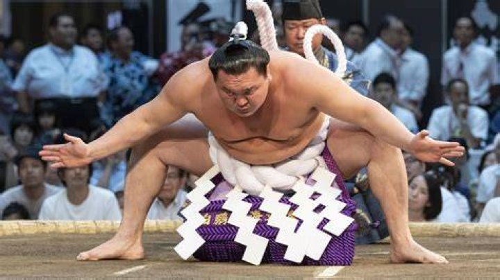 Hakuho Sho Weight and Height