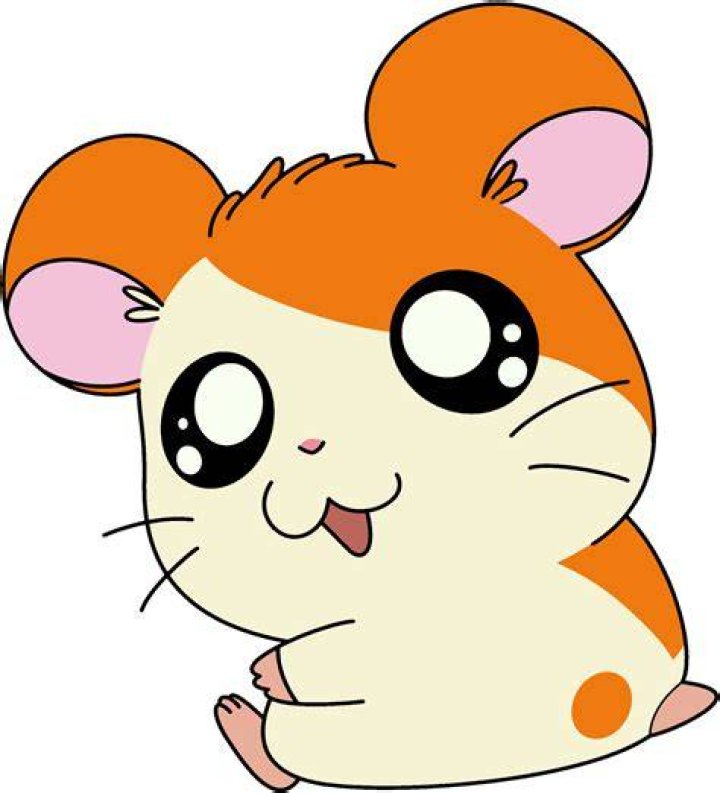Hamtaro characters from the anime