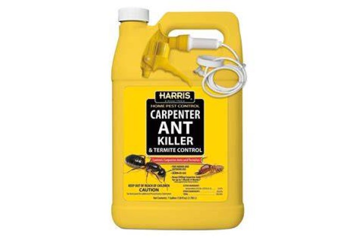 Harris Carpenter Ant Killer & Termite Control Treatment