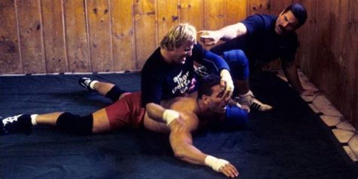 Hart v Shamrock Fully Loaded