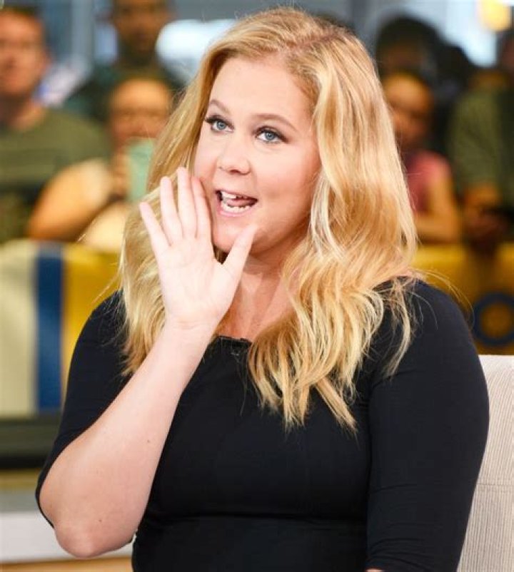 Heckler Tells Amy Schumer to Show Him Her ''Tits''