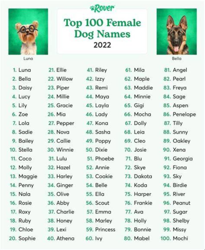 Here Are The Most Popular Dog Names For 2021