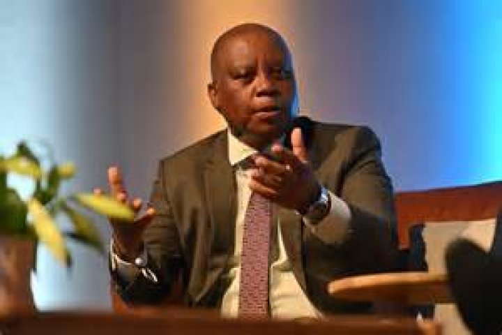 Herman Mashaba watched as foreign nationals crossed the Beitbridge border into South Africa.