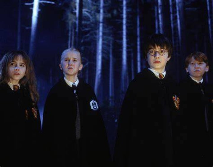 Hermione Draco Ron Harry and Hagrid in the Forbidden Forest