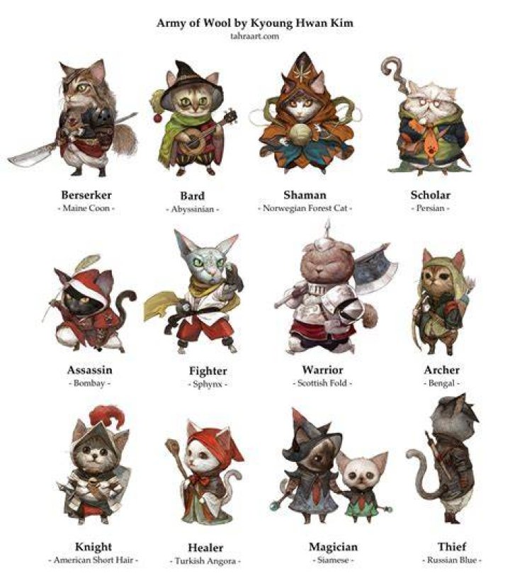 Herumlaufen informell Mach das Schlafzimmer sauber d&d cat race
