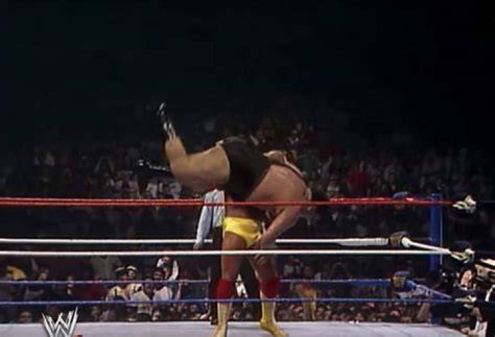 Hogan Slams Andre