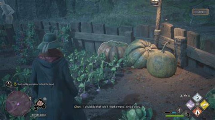 Hogwarts Legacy Guide: How to Destroy All 5 Pumpkins to Find
Richard Jackdaw’s Head