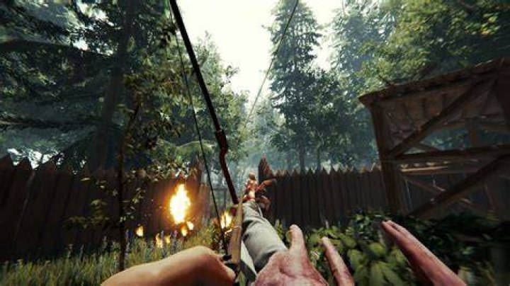 Holy cow - The Forest has a PS4 release date