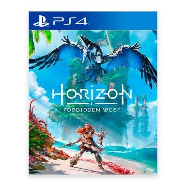 Horizon Forbidden West on PS4 looks better than a lot of PS5 games
