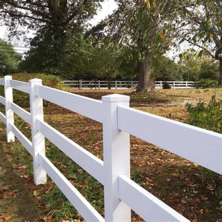 Horse fence painted white