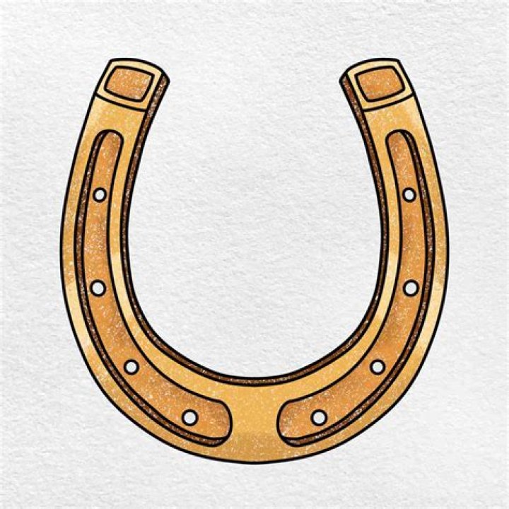 horse shoe divider