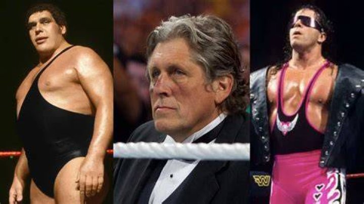 How Bret Hart & Andre The Giant Almost Died Together In A Car Accident, Explained