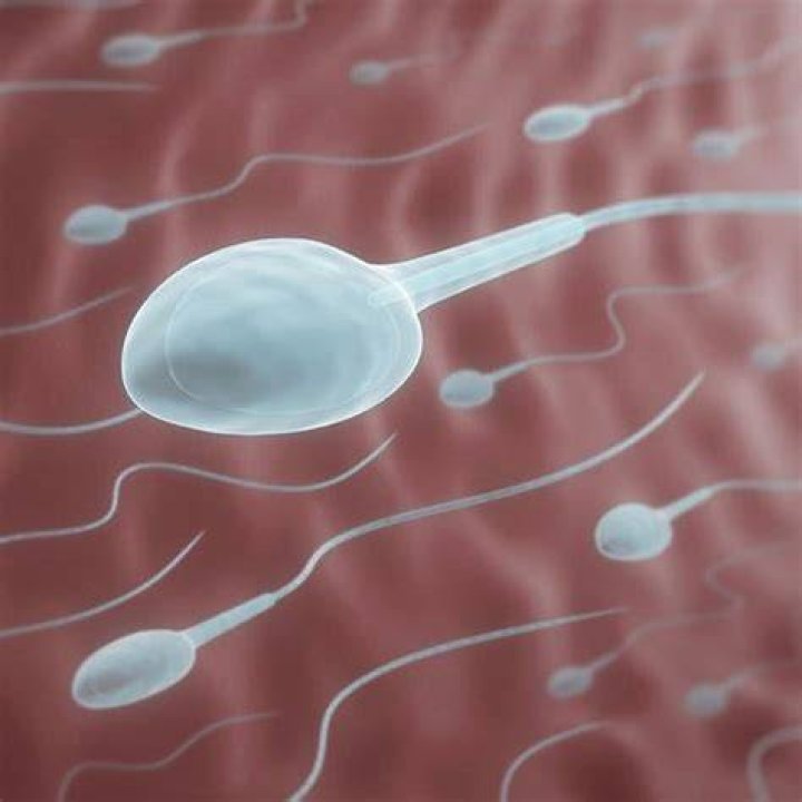 How Long Can Sperm Live Outside The Body? This Viral Tweet Has Everyone Wondering