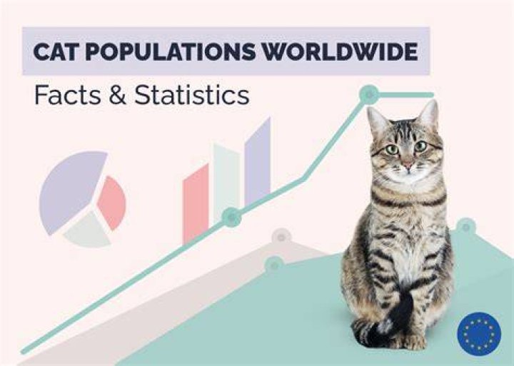 How Many Pet Cats Are There? US & Worldwide Statistics 2024