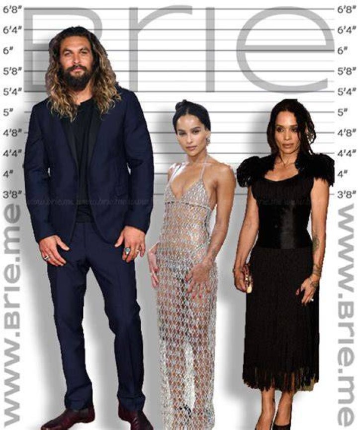 How Tall Is Lisa Bonet? Unveiling The Height Of The Iconic Actress