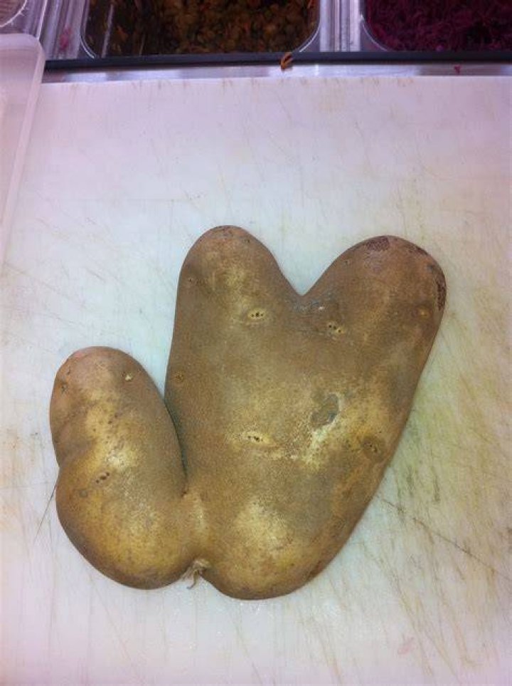 How to avoid growing funny shaped potatoes Our Stoney Acres