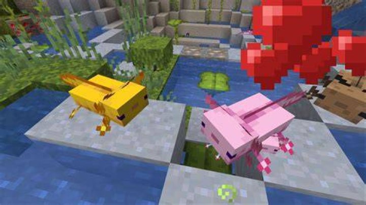 How to Breed and Feed Axolotls in Minecraft