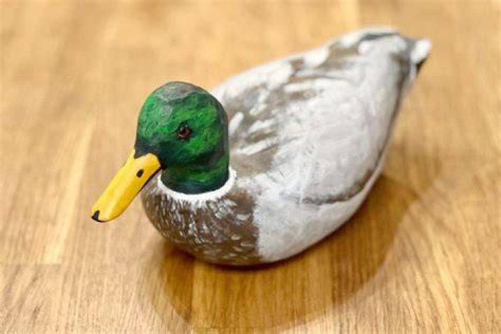 How To Carve a Wooden Duck (DIY)