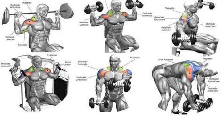 How to Delts Exercises Sets & Reps Guide