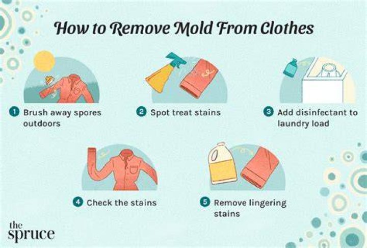 How to Remove Mold and Mildew From Clothes