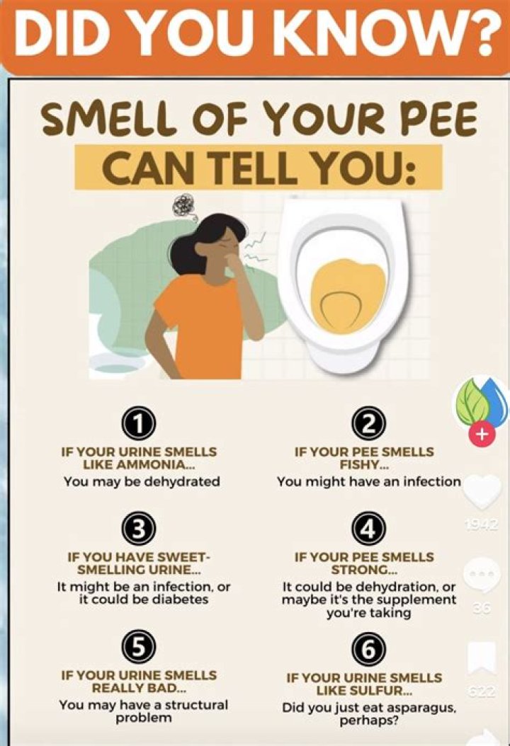 How to Tell if You Smell Bad