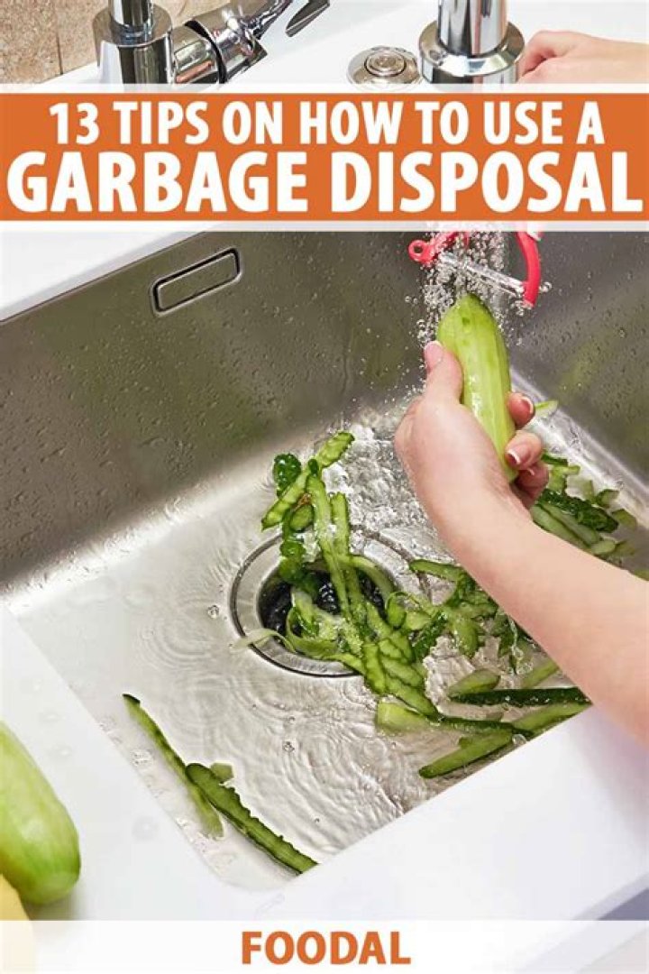 How to Use Your Garbage Disposal So It Lasts